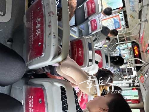 IMG_4895.jpeg