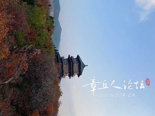 E37A634B-3DAF-4627-A582-69A71EE7E697.jpeg