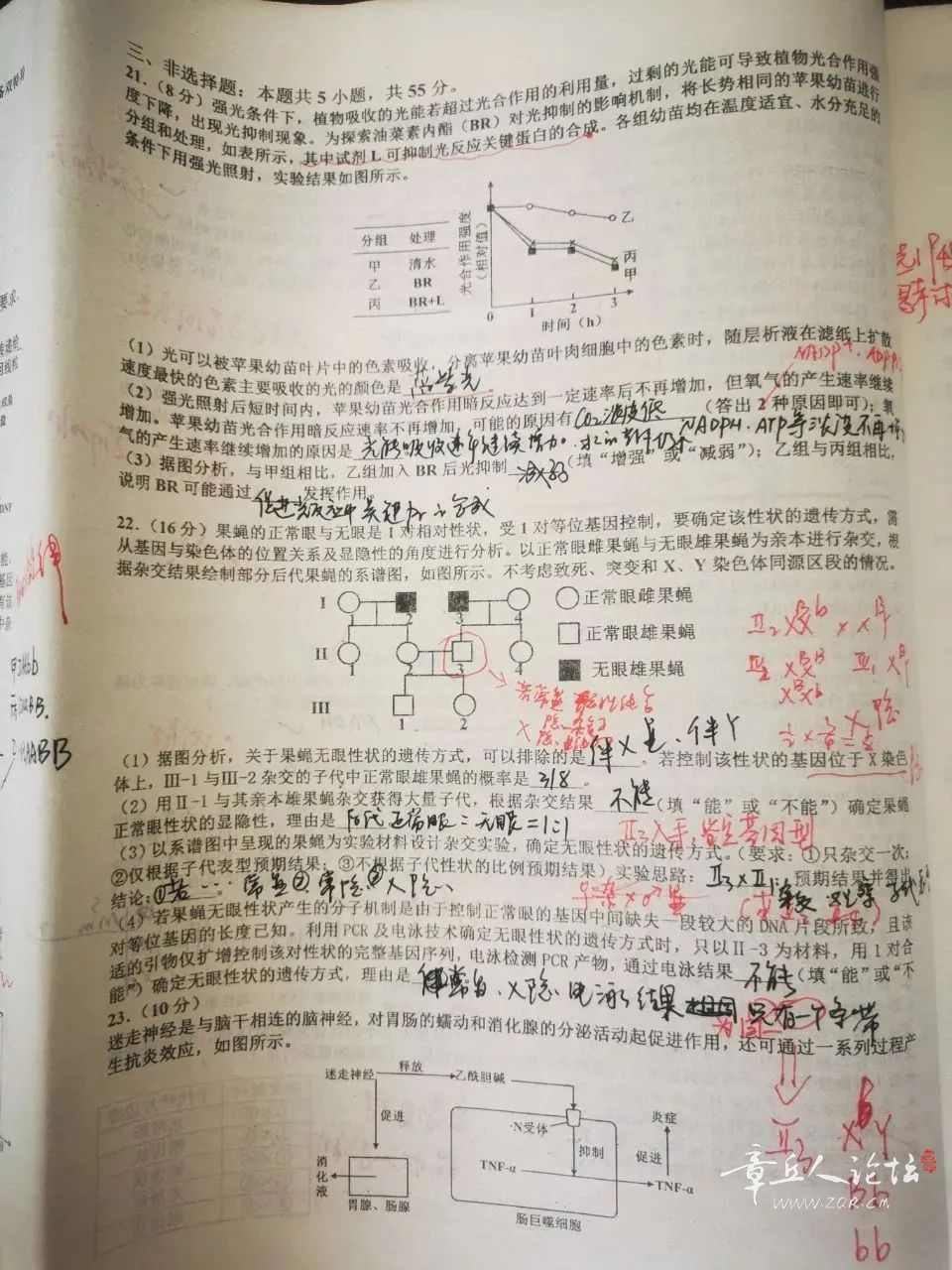 172402bd37clllrscj8w7r.jpeg