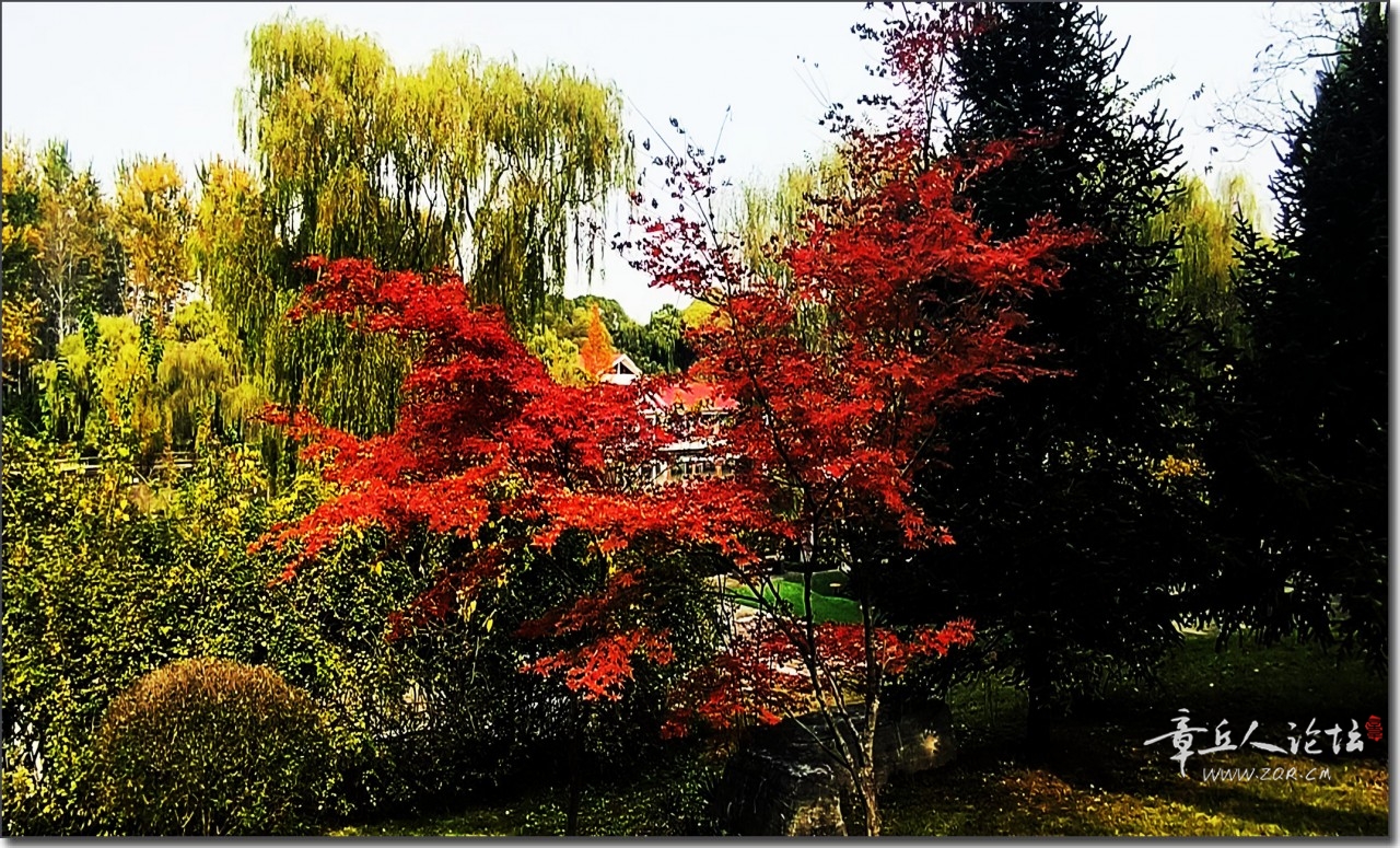 微信图片_20241030161150.jpg