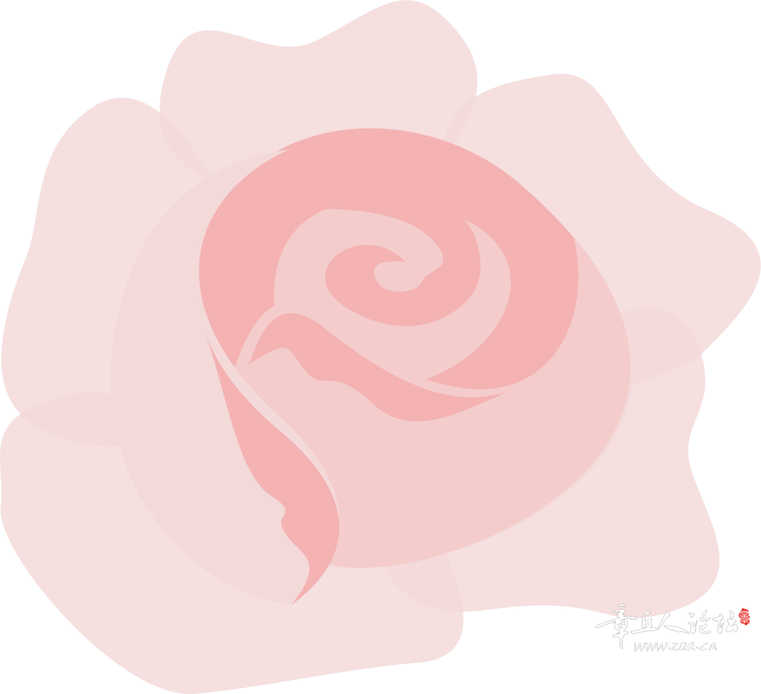 142143bochkc26qzu2cmp2.png