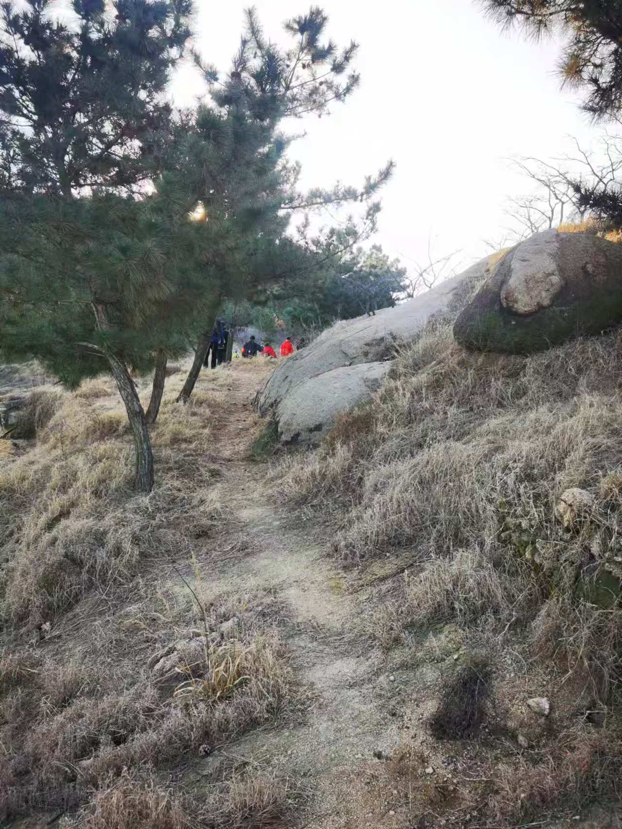 微信图片_20241229103144.jpg