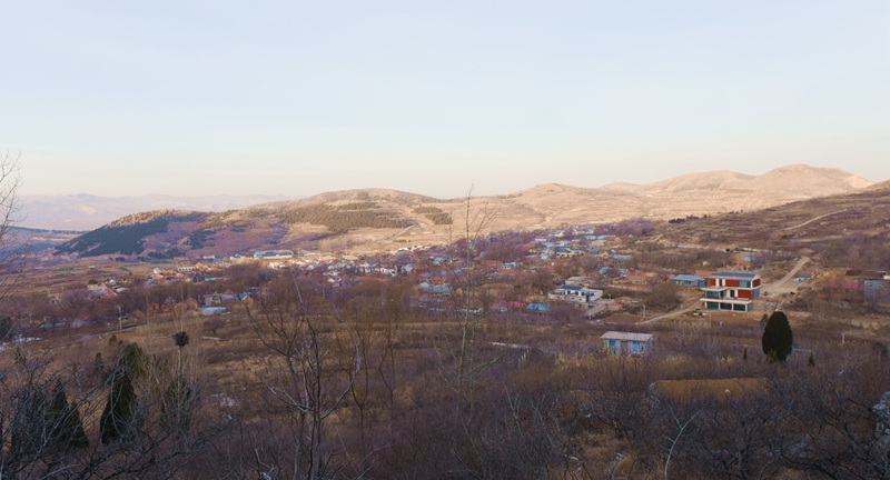 DSC_2728.jpg