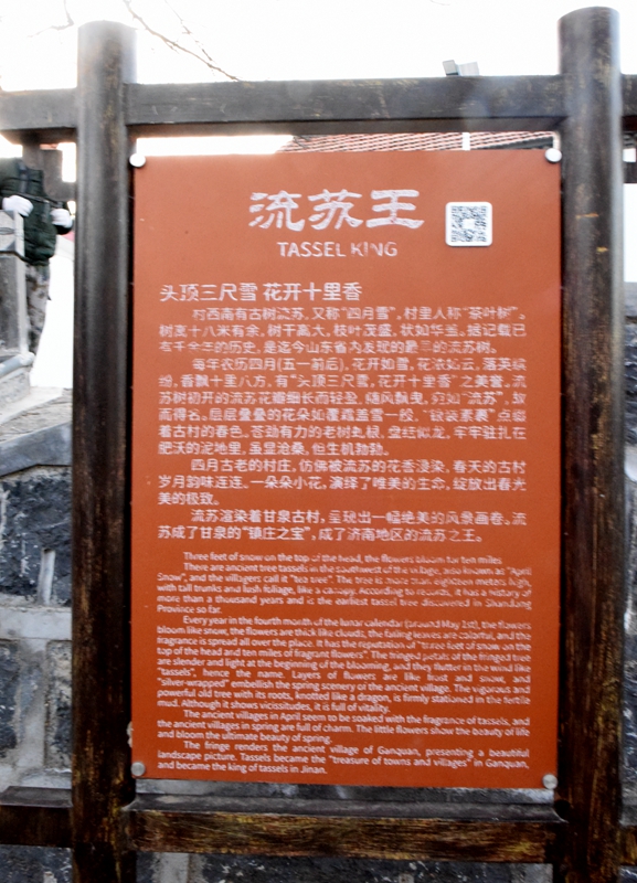 DSC_2722.jpg