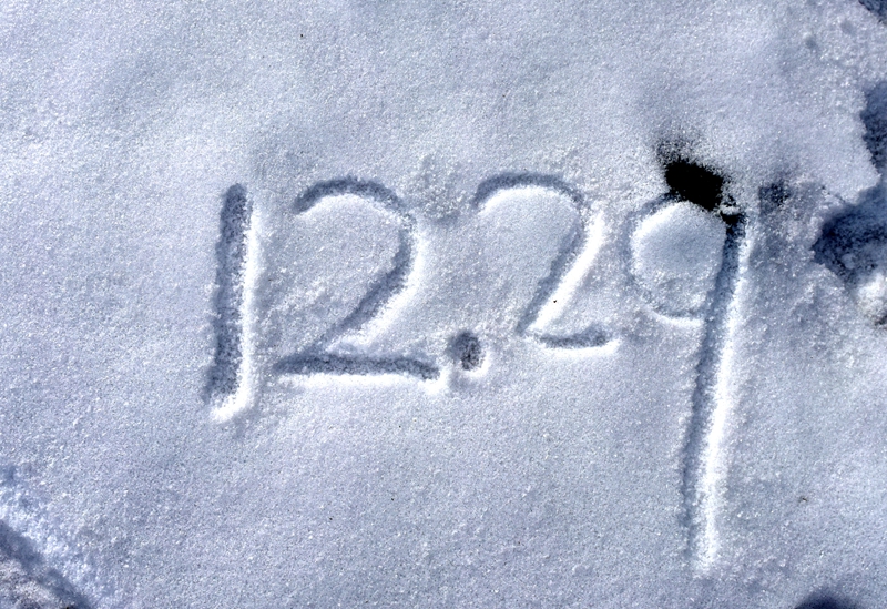 DSC_2896.jpg