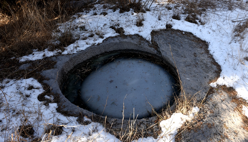 DSC_2964.jpg