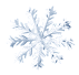 113112gt014d2dl5zp49y5.gif