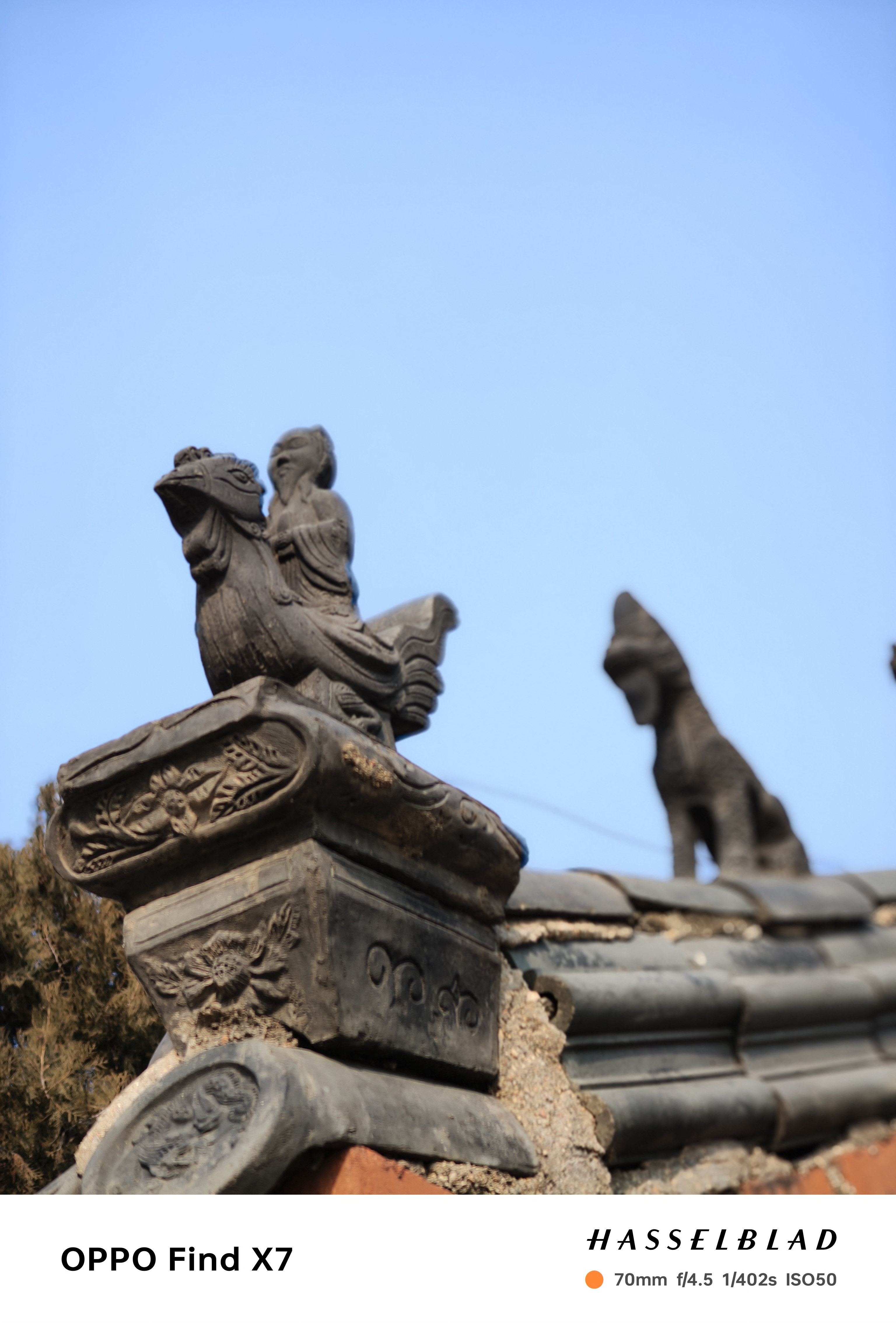 微信图片_20250105154416.jpg