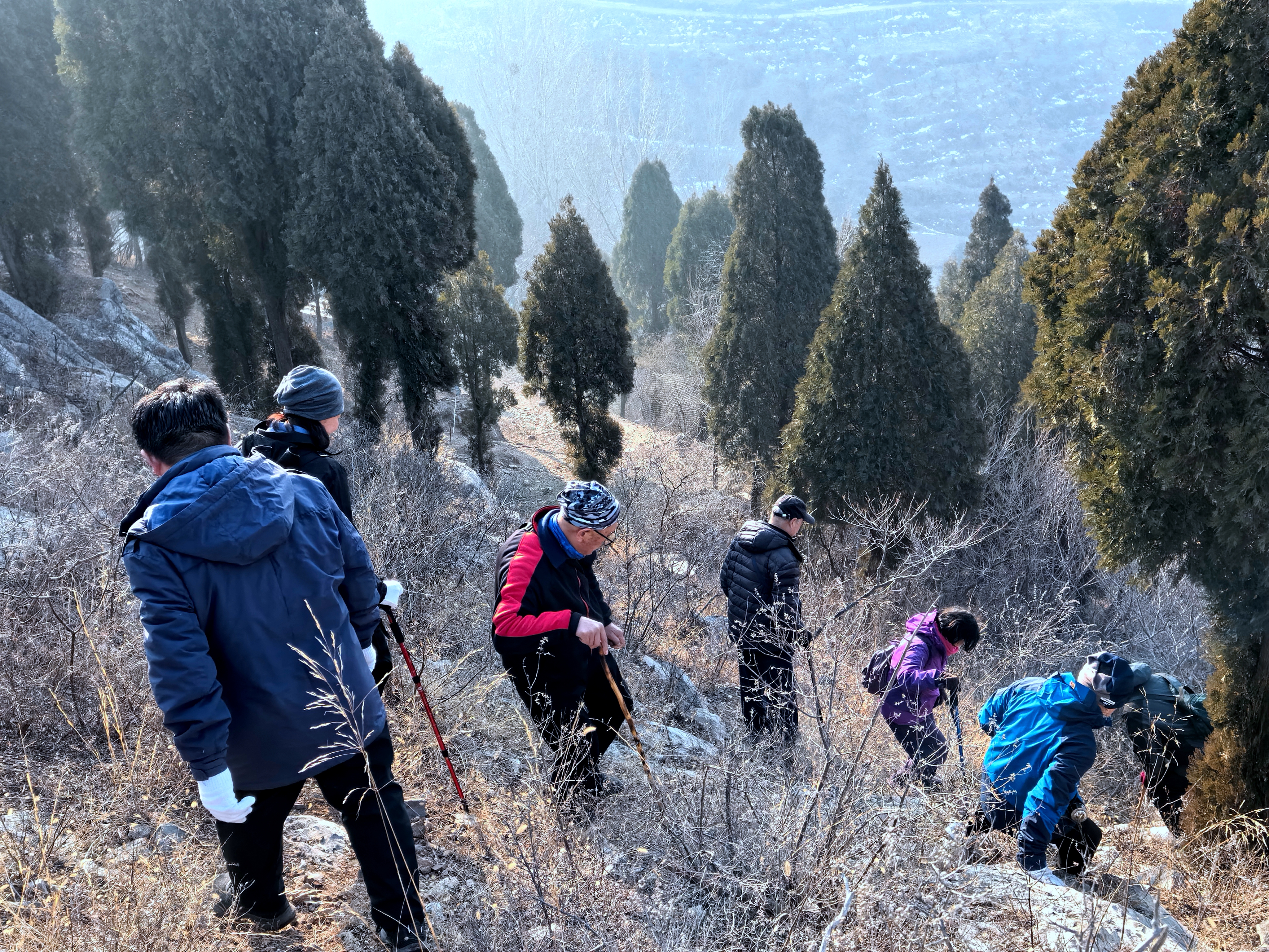 微信图片_20250105181140.jpg