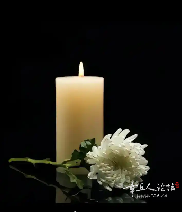 u=256634962,3467661208&fm=253&fmt=auto&app=138&f=JPEG.webp.png