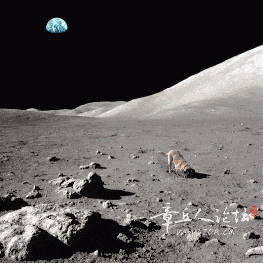 4c9b7d3753894dbc8294375de988ced2.gif