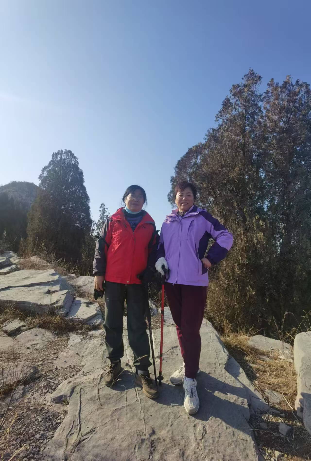 微信图片_20250112105225.jpg