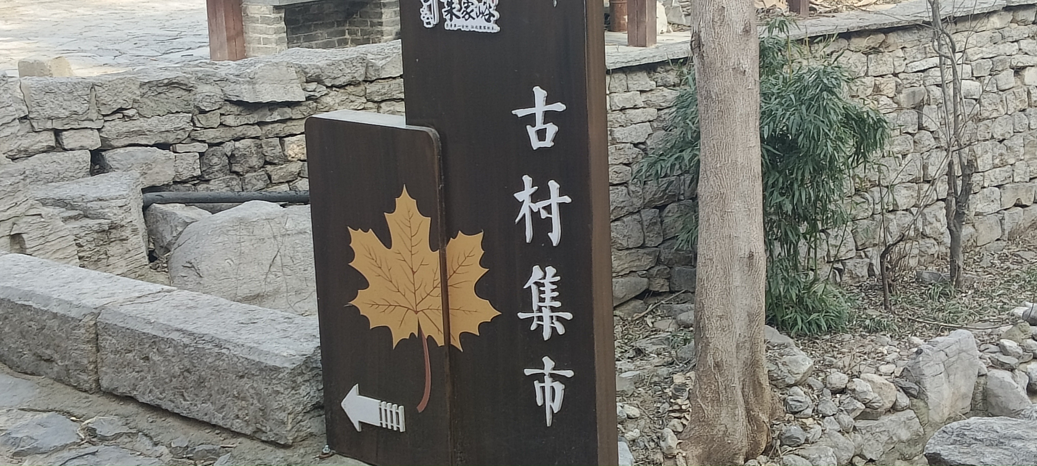 微信图片_20250119113708.jpg