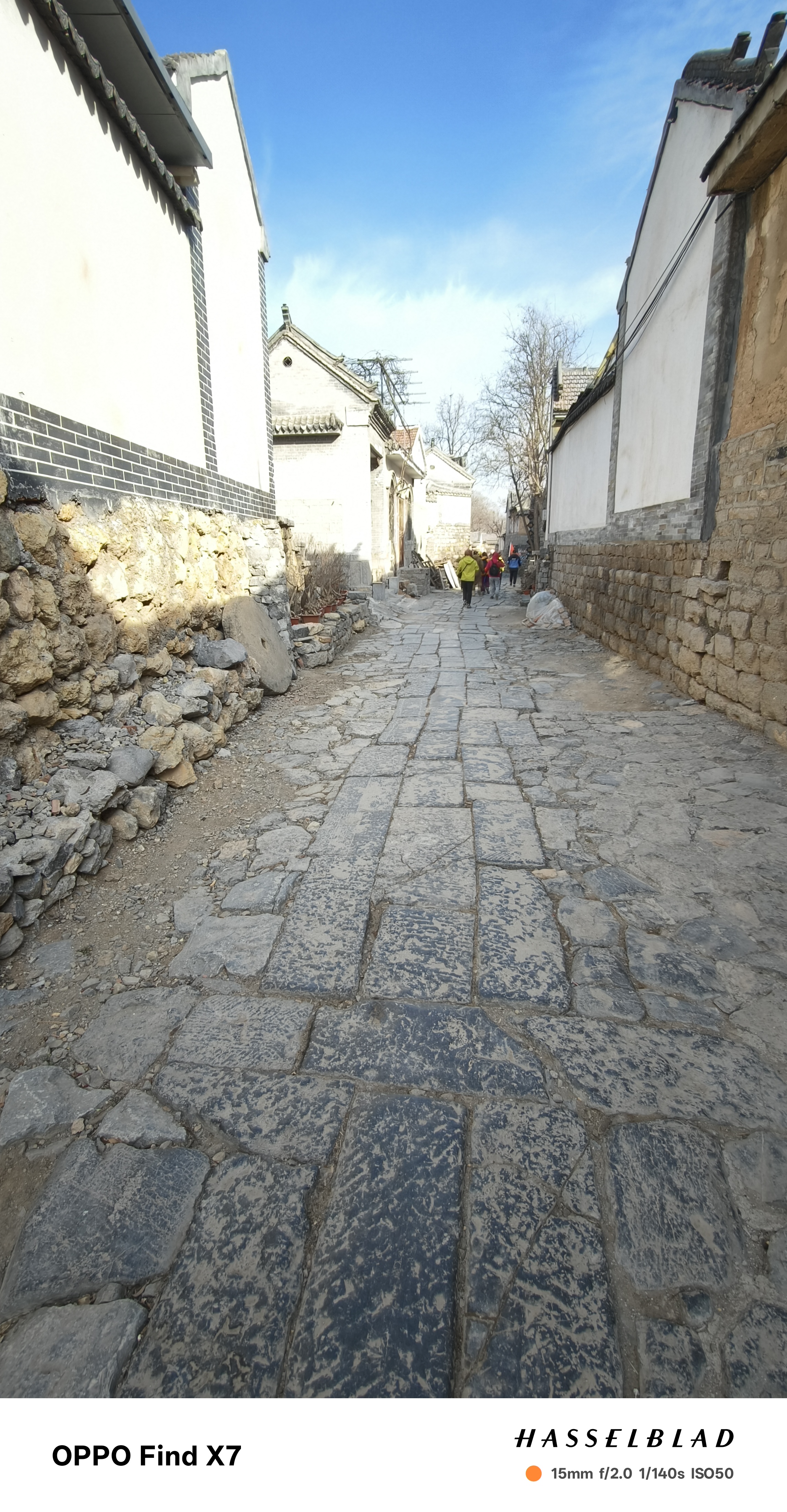 微信图片_20250119114436.jpg