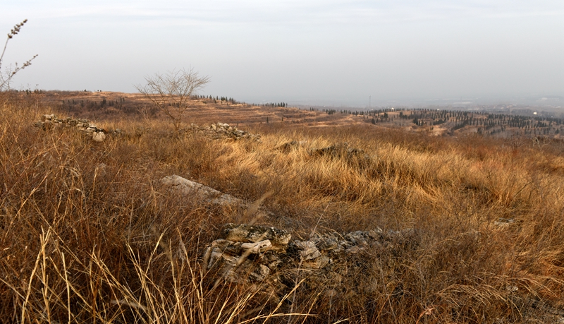 DSC_3765.jpg