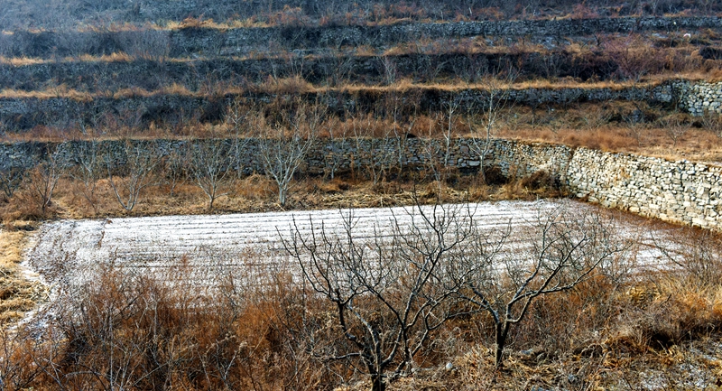 DSC_3798.jpg