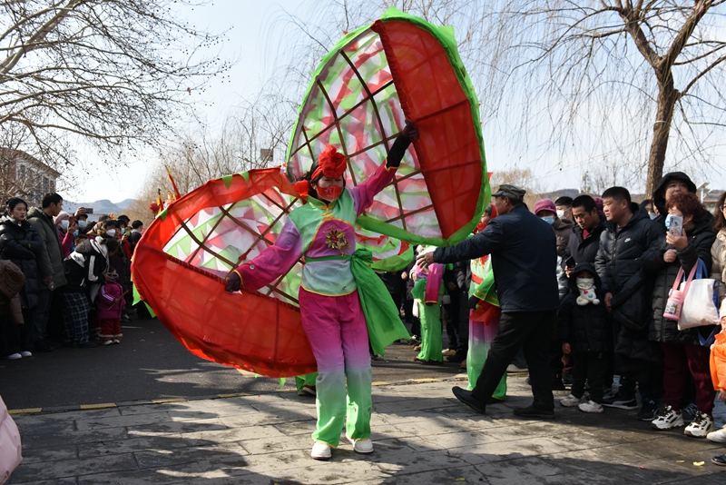 DSC_4412.jpg