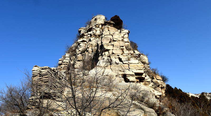 DSC_5100.jpg