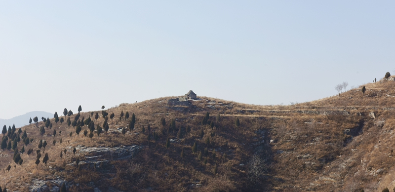 DSC_5205.jpg