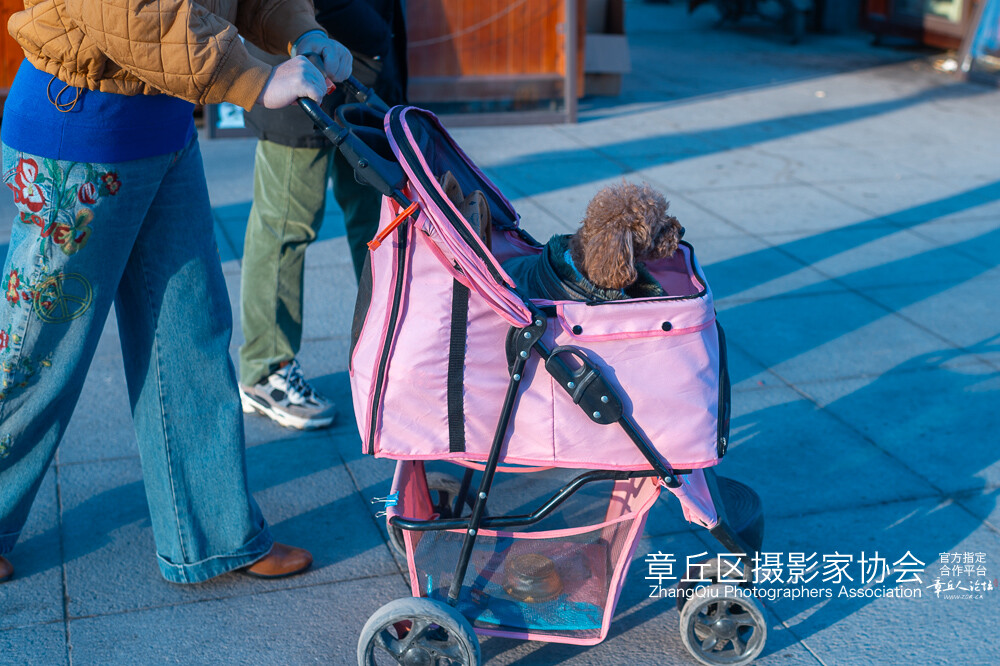 鼓楼-8.jpg
