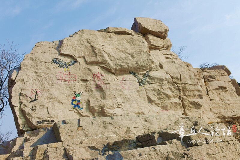 DSC_5305.jpg