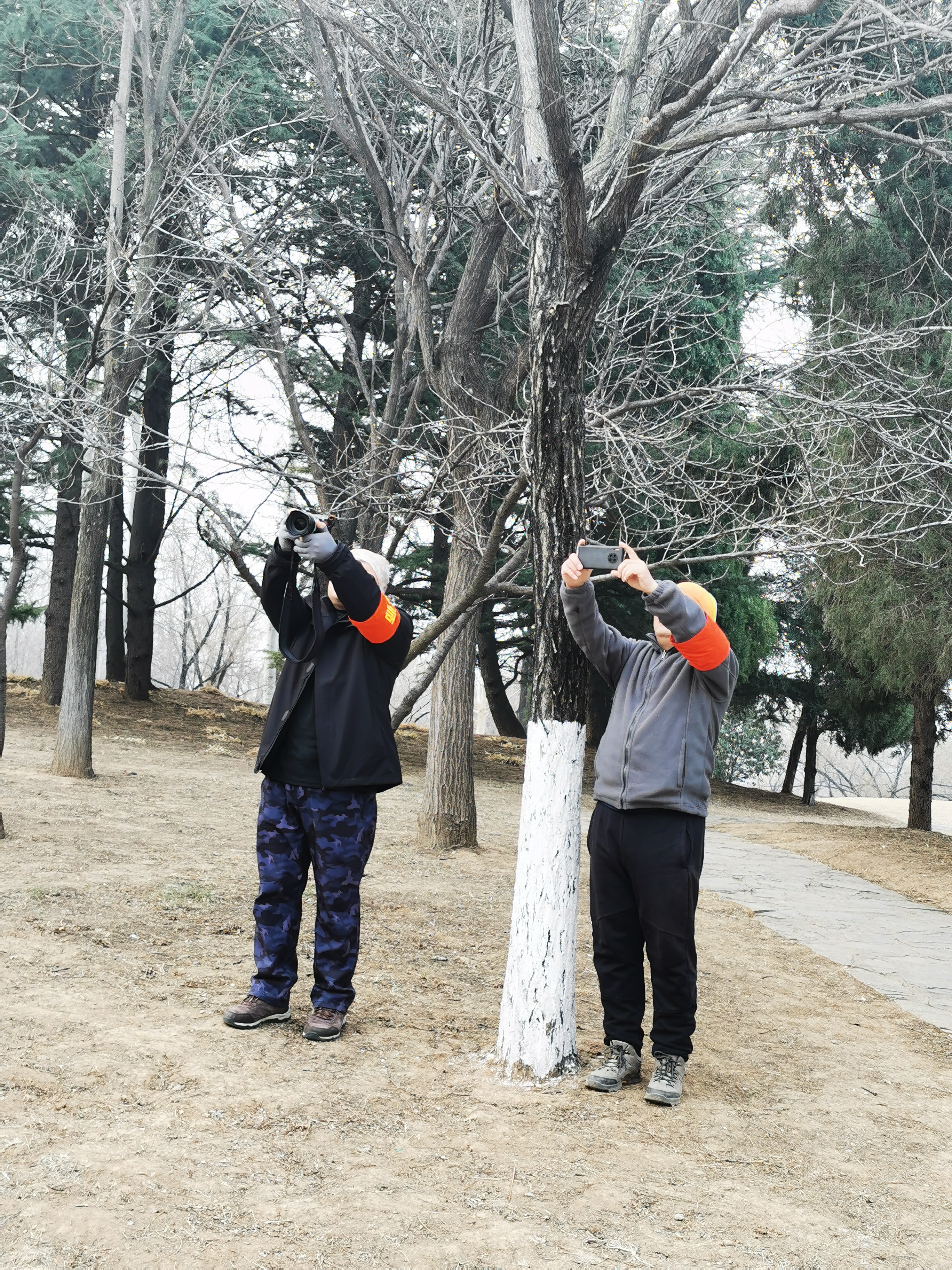 微信图片_20250223175455 - 副本.jpg