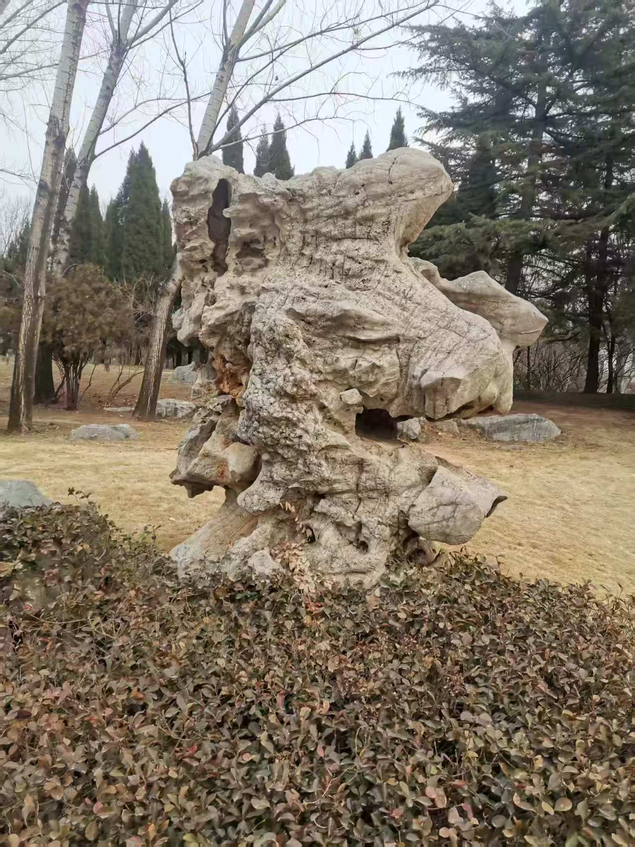 微信图片_20250223180337.jpg