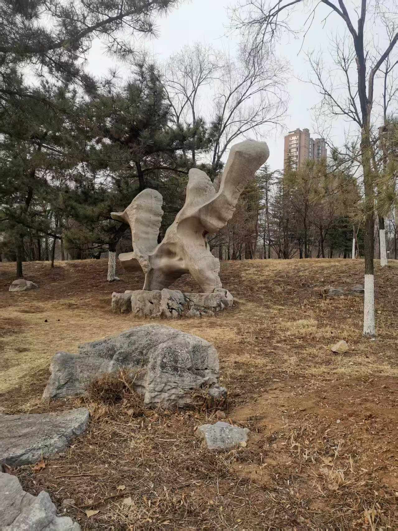 微信图片_20250223180333.jpg