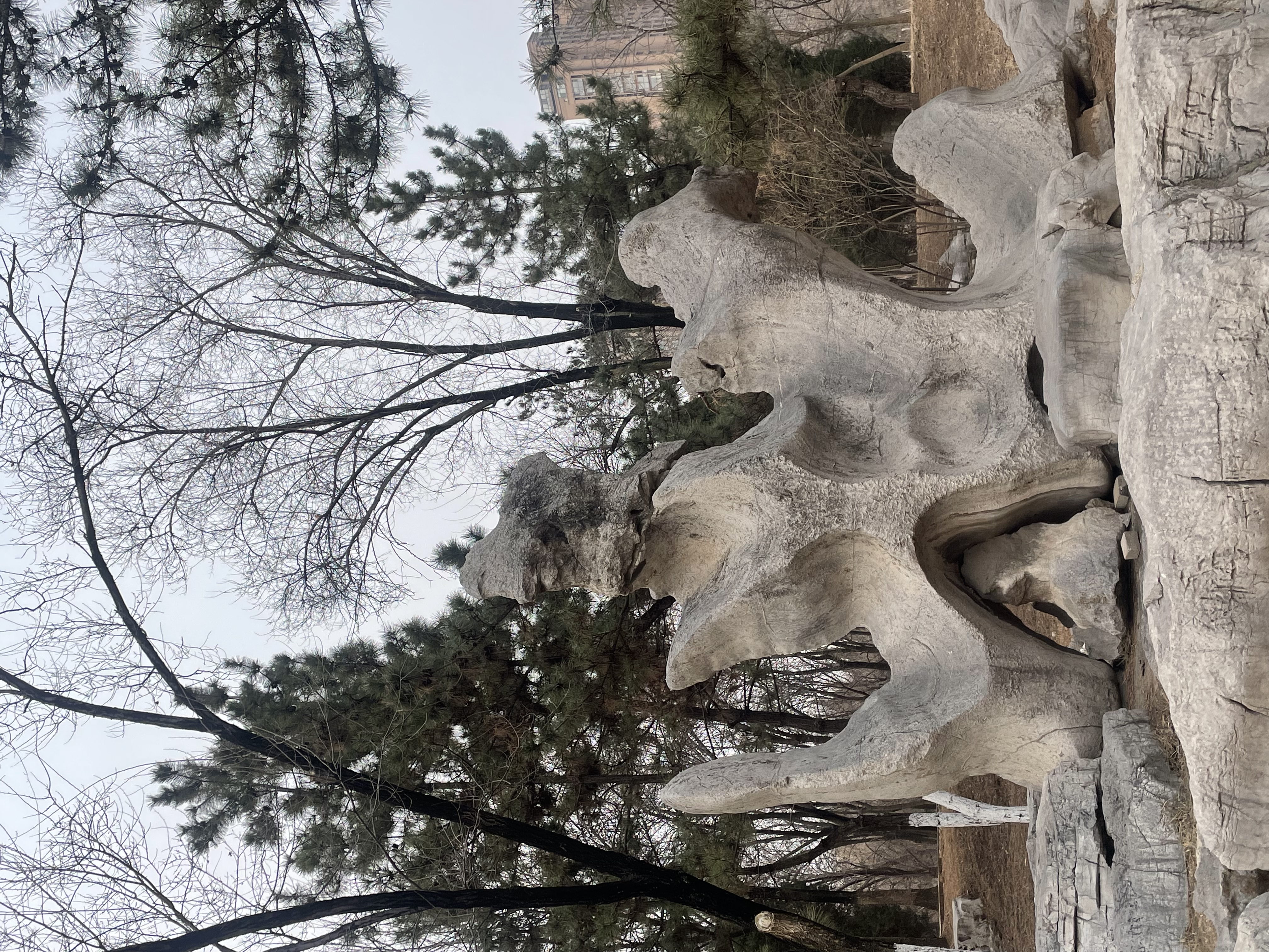 微信图片_20250223181615.jpg