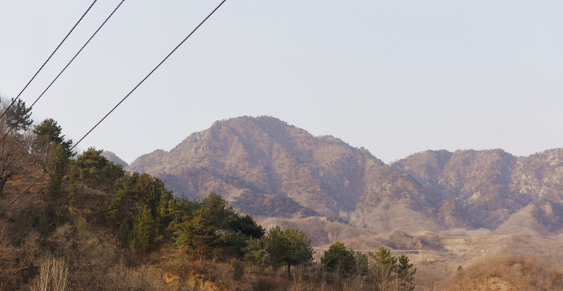 DSC_5587.jpg