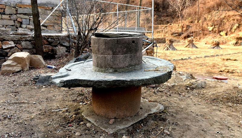 DSC_5591.jpg