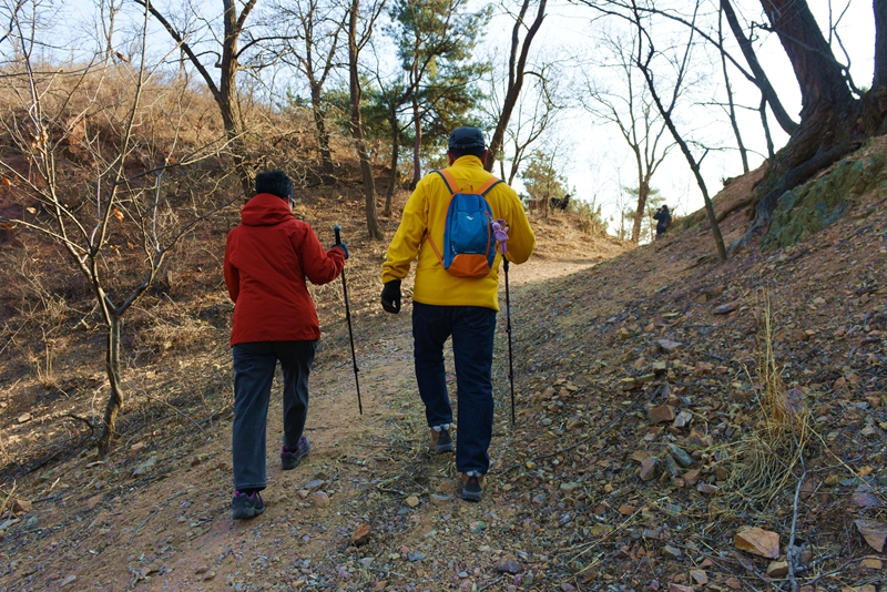 DSC_5685.jpg