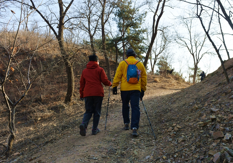 DSC_5686.jpg