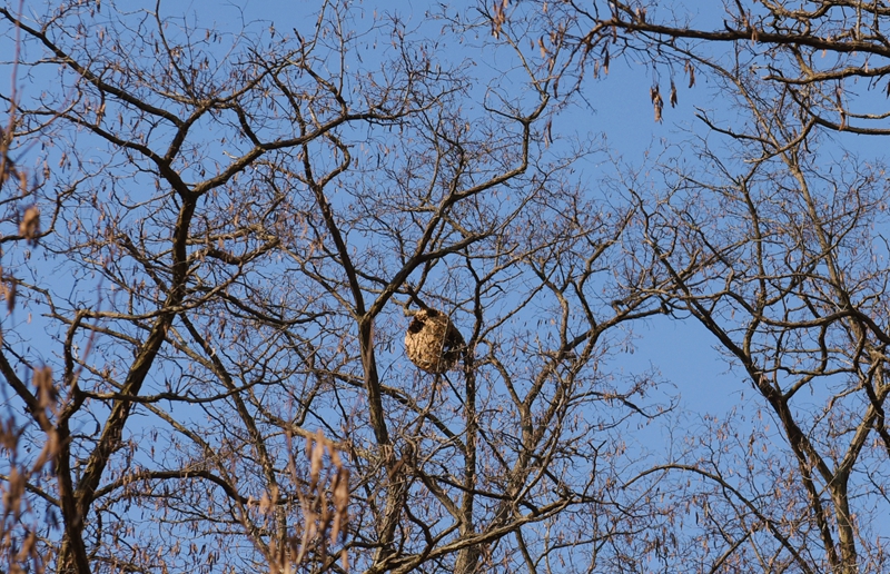 DSC_5691.jpg