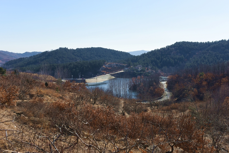 DSC_5807.jpg