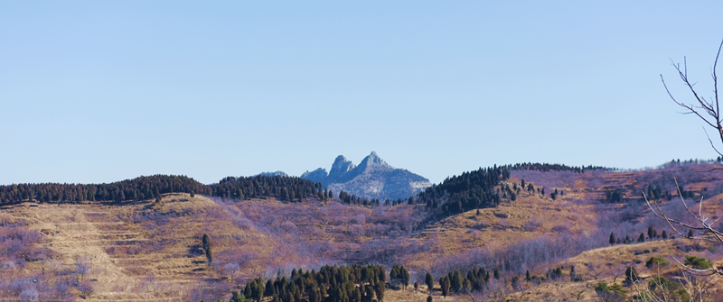 DSC_5838.jpg