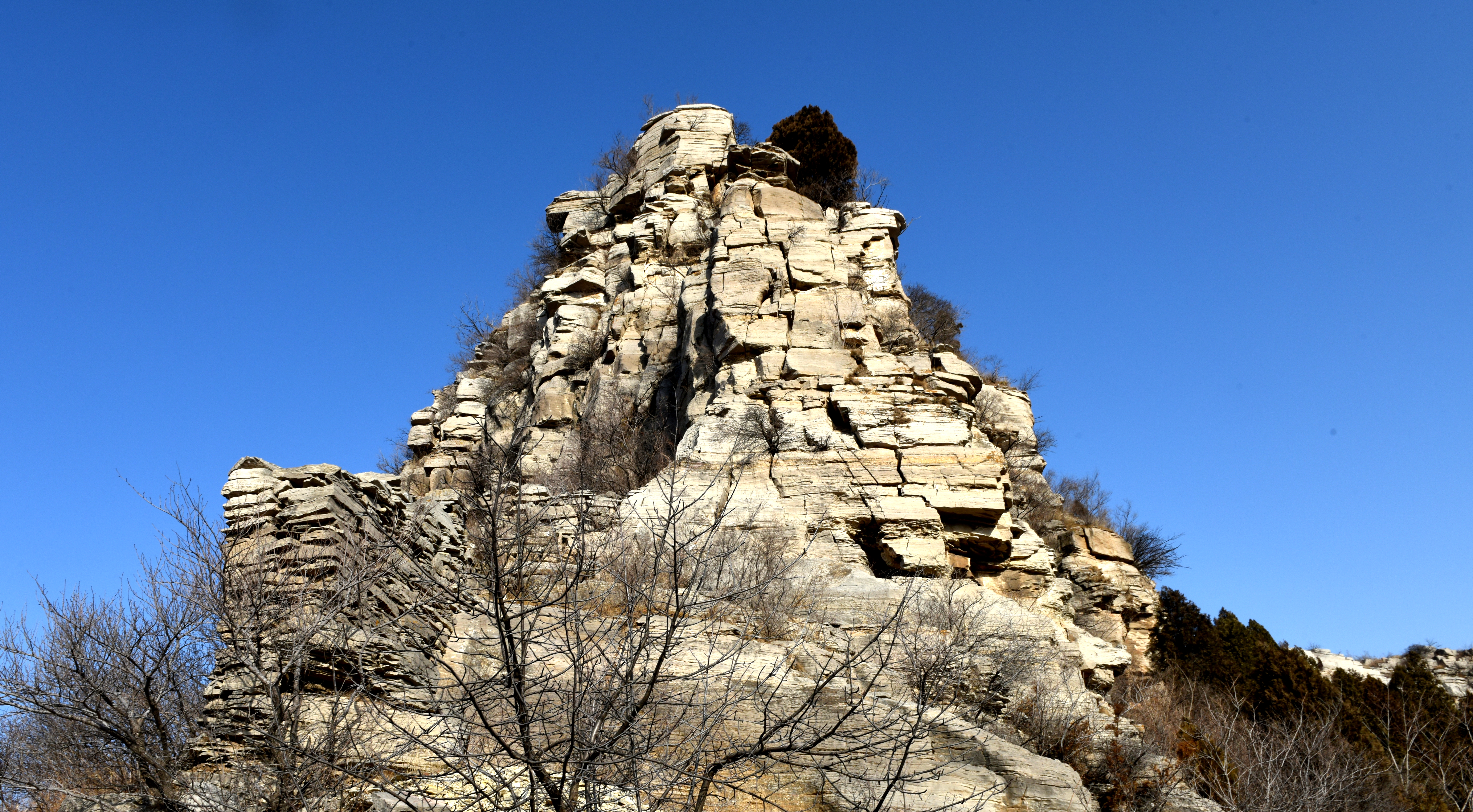 DSC_5100.JPG