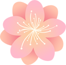 093208dfbfjkz4cy594fem.png