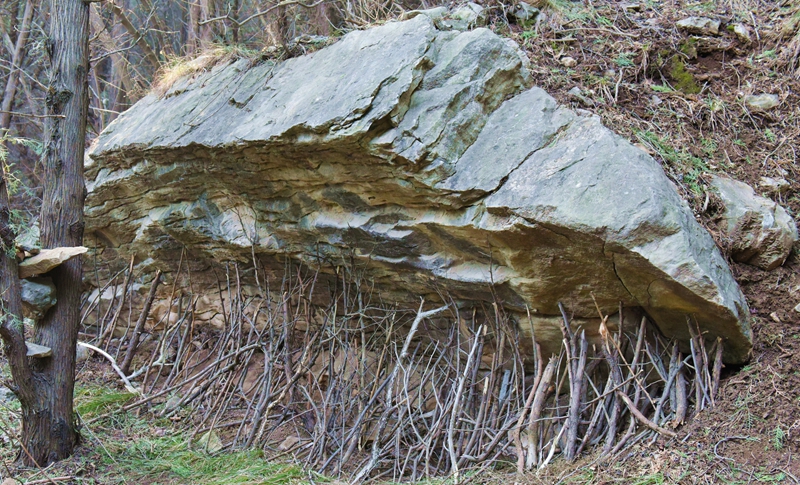 DSC_6025.jpg