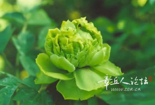 搜狗高速浏览器截图20250310142154.png