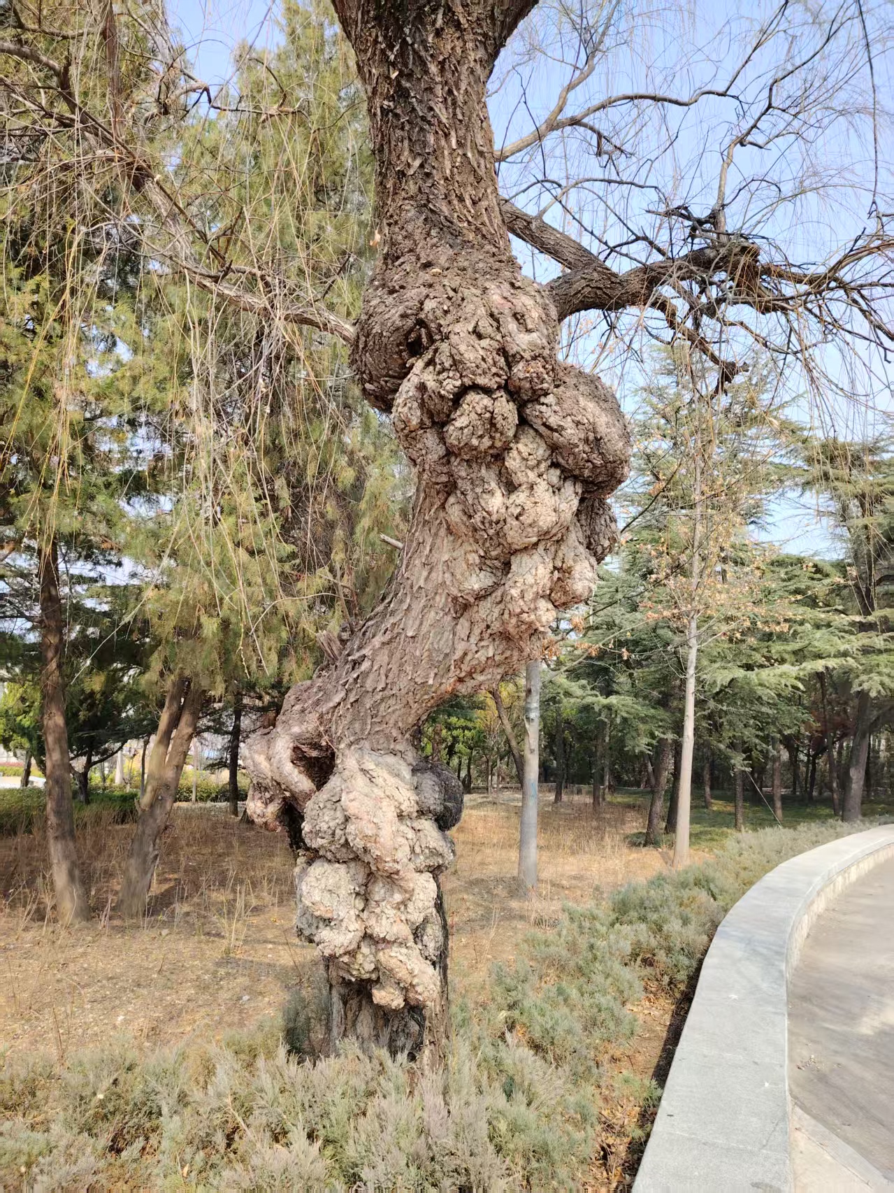 微信图片_20250310134516.jpg
