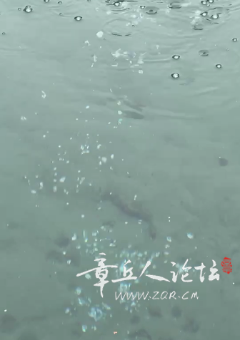 搜狗高速浏览器截图20250315150552.png