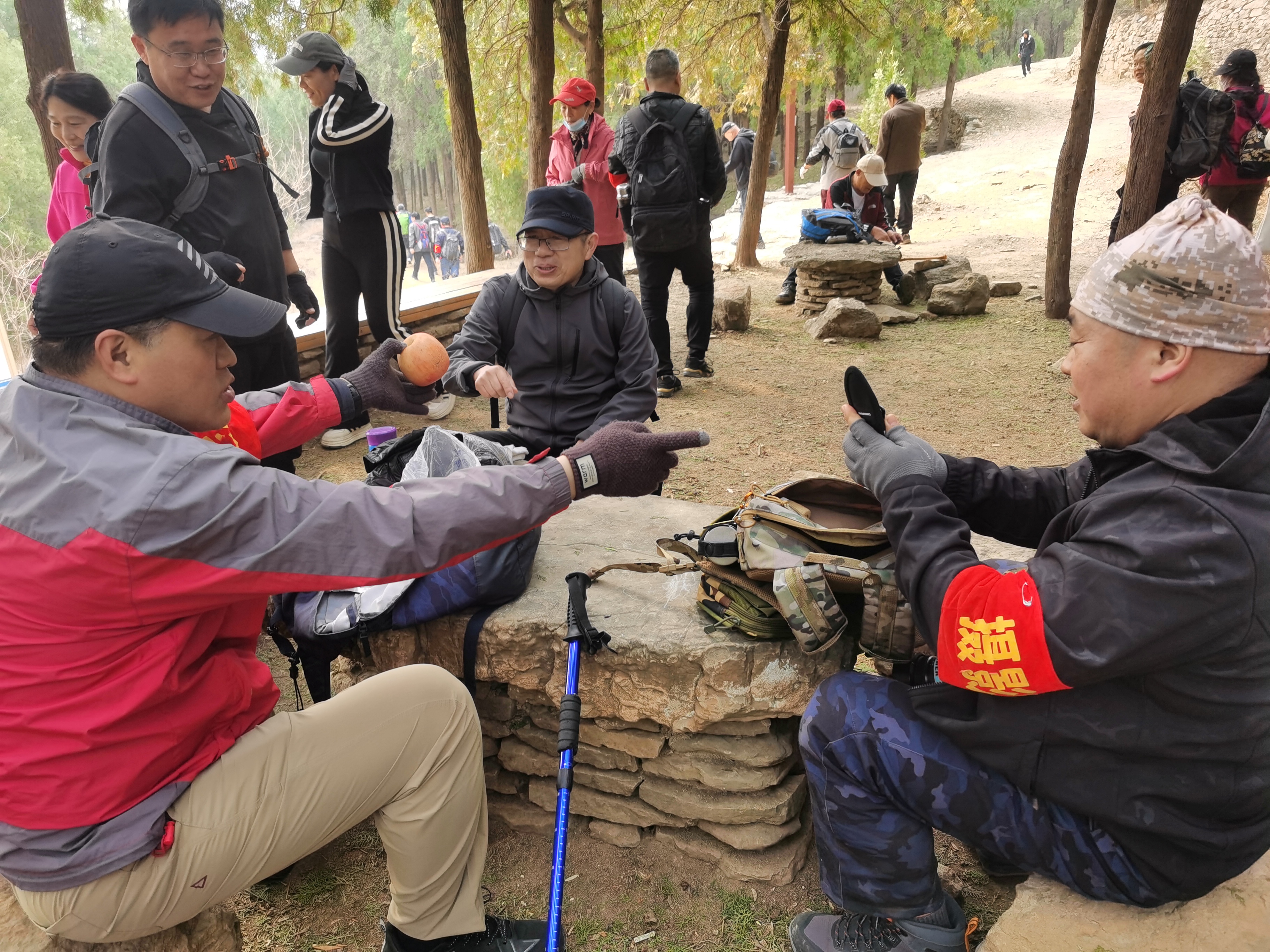 微信图片_20250316100449.jpg
