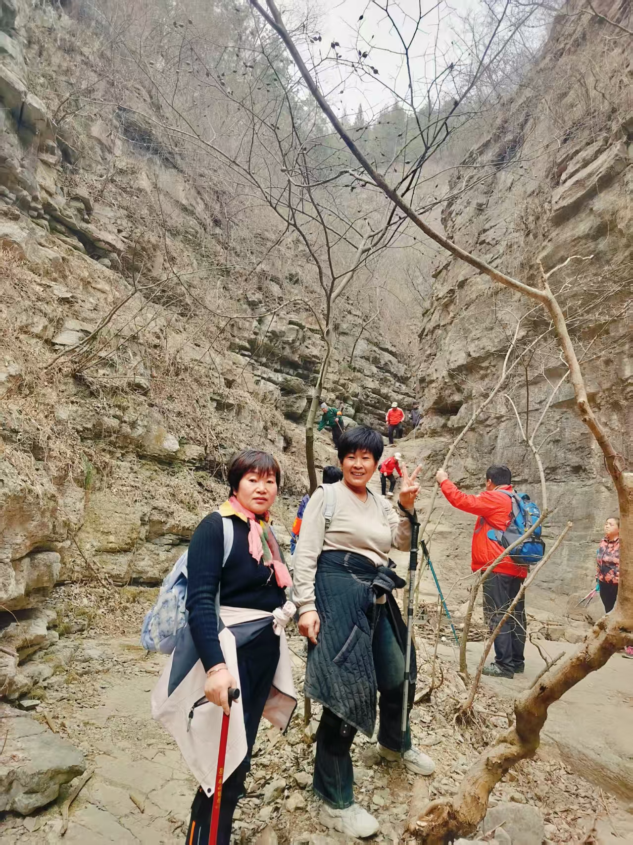微信图片_20250316101145.jpg