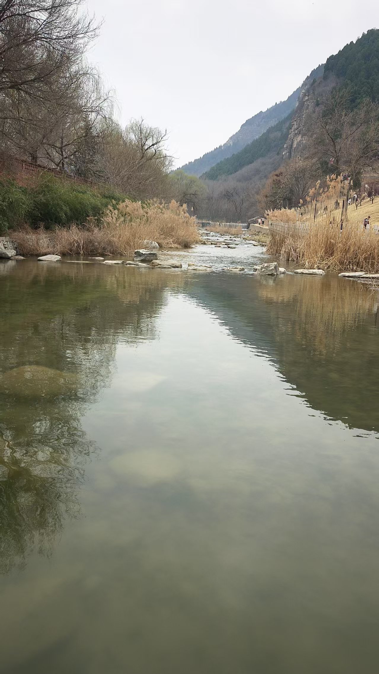 微信图片_20250316101201.jpg