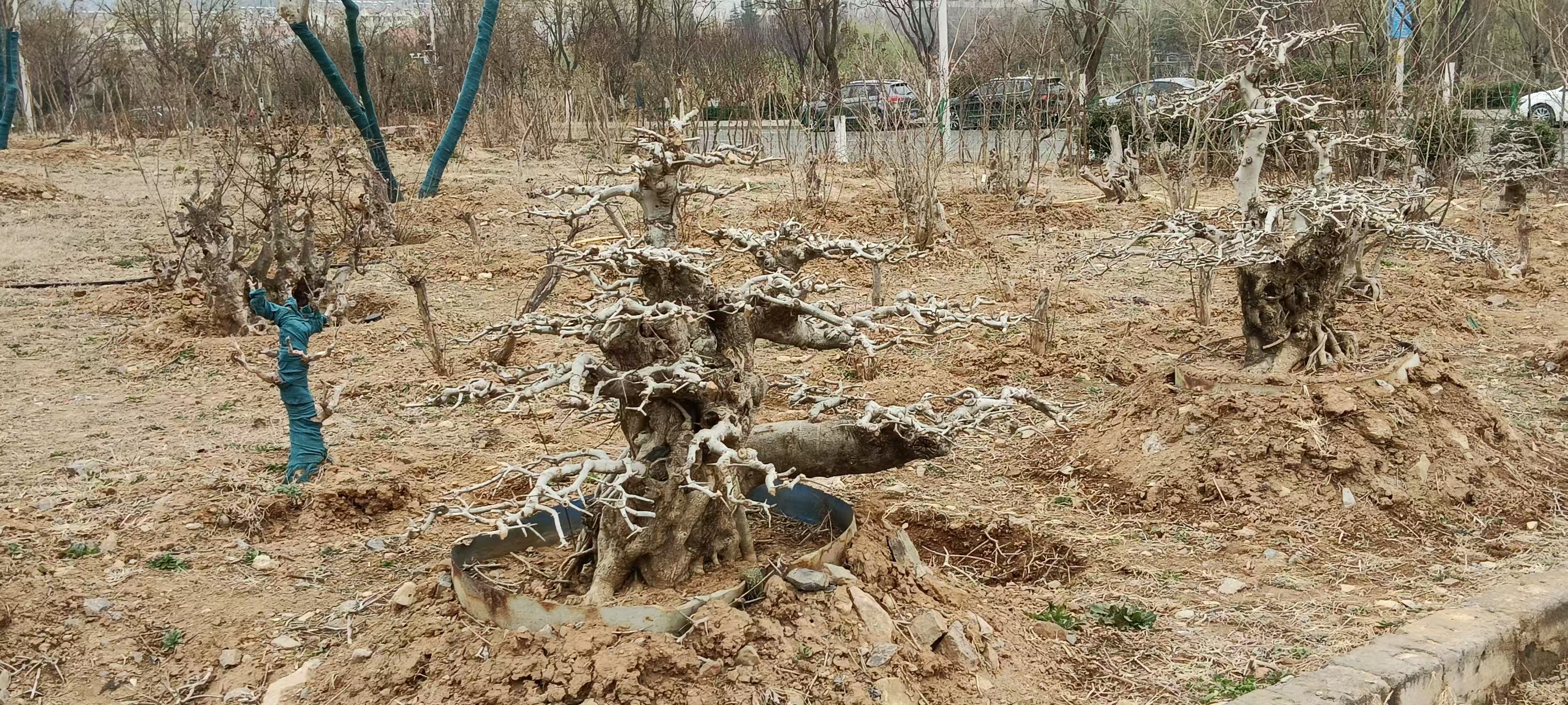 微信图片_20250316102009.jpg