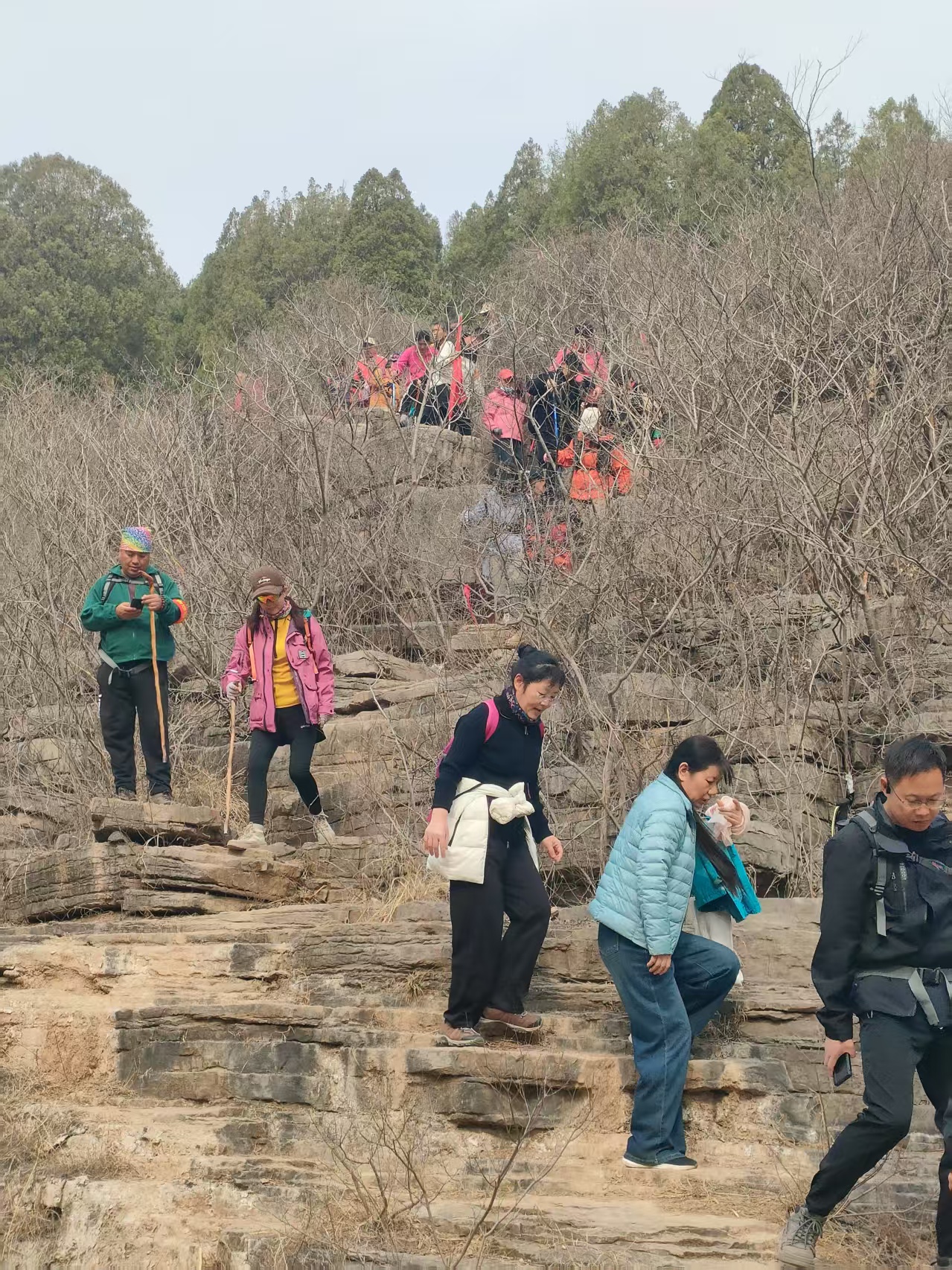 微信图片_20250316102203.jpg