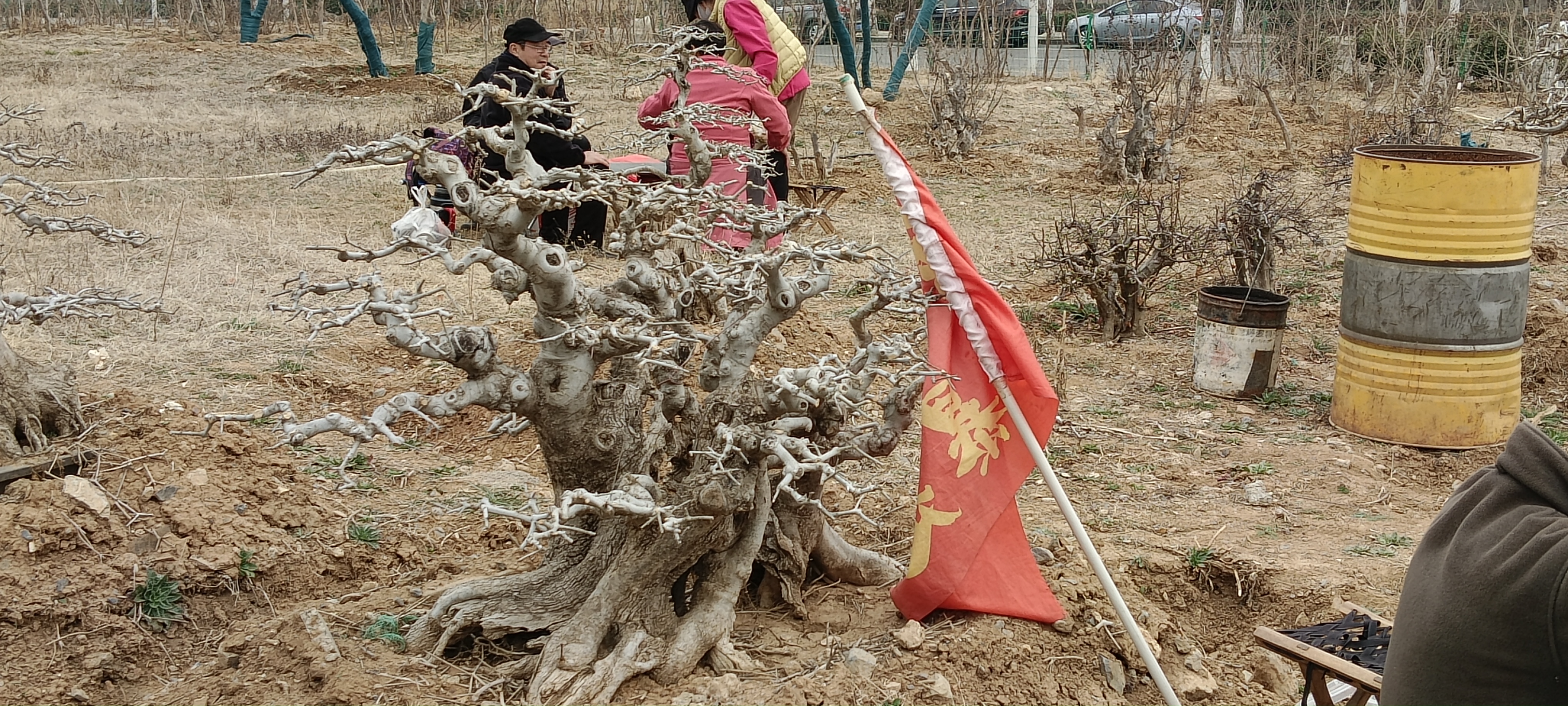 微信图片_20250316102319.jpg
