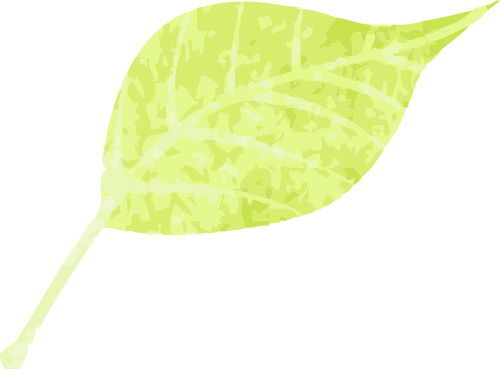 171422t246enxqq24wqinx.png