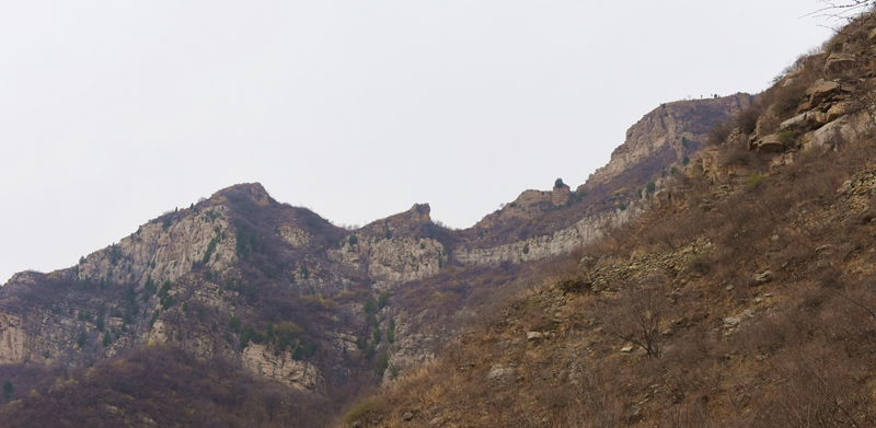 DSC_6996.jpg